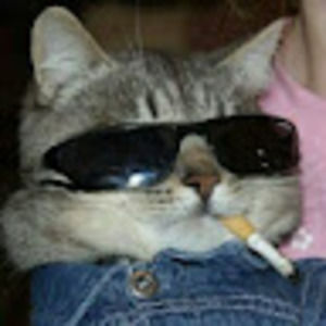 Meet your Posher, Dianne